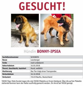 Suchplakat